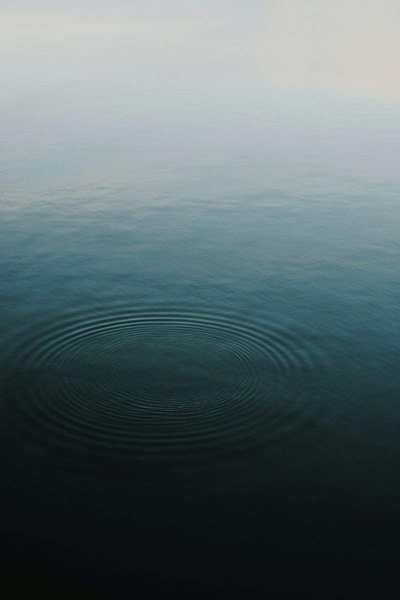 Nordic Zen Yoga Studio